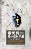 好奇心书系  常见昆虫野外识别手册  长江三角洲卷
