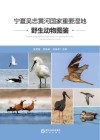宁夏吴忠黄河国家重要湿地野生动物图鉴
