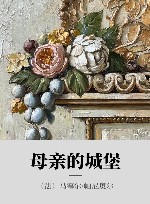 母亲的城堡 封面