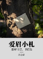 爱眉小札 xa0志摩日记、书信集