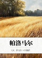 帕洛马尔 电子书封面