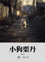小狗栗丹