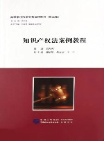 高等学校法律实务系列教材  知识产权法案例教程