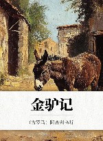金驴记 封面