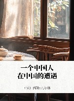 一个中国人在中国的遭遇