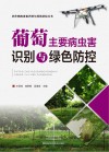 农作物病虫害识别与绿色防控丛书 葡萄主要病虫害识别与绿色防控封面