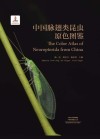 中国脉翅目昆虫原色图鉴封面