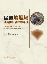 锰渣填埋场综合修复治理与评价