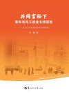 共同富裕下青年农民工就业支持研究封面