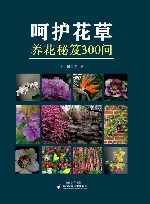 呵护花草  养花秘笈300问封面