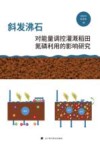斜发沸石对能量调控灌溉稻田氮磷利用的影响研究