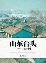 山东台头  一个中国村庄封面