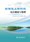 白洋淀上游河流综合整治与管理封面