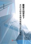 健康中国背景下农村互助养老服务策略与设计实证封面