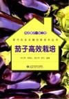 科技惠农一号工程  茄子高效栽培封面
