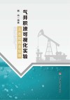 气井积液可视化实验及连续携液规律封面
