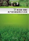 黄花蒿（青蒿）高产栽培基础理论与实践
