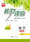 能力评价初中·化学  九年级  下  沪科版