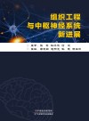 组织工程与中枢神经系统新进展封面