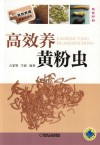 高效养黄粉虫封面