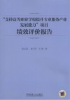 “支持高等职业学校提升专业服务产业发展能力”项目绩效评价报告