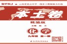 本土卷·化学  九年级