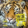 地球不能没有老虎