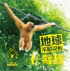 地球不能没有长臂猿