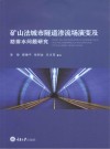矿山法城市隧道渗流场演变及防排水问题研究 电子书封面