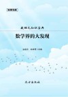 数理化知识宝典：数学界的大发现封面