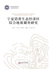 宁夏沿黄生态经济区综合地质调查研究封面