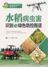 水稻病虫害识别与绿色防控图谱封面