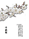 千纸鹤封面