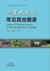 北京九龙山常见昆虫图谱