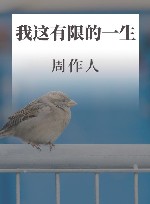 我这有限的一生 封面