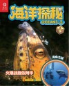 海洋探秘·火爆战舰依阿华封面