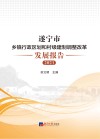 遂宁市乡镇行政区划和村级建制调整改革发展报告  2021