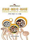 真姬菇  姬松茸  杨树菇