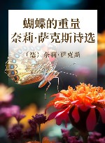 蝴蝶的重量  奈莉·萨克斯诗选