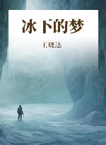 冰下的梦 封面