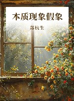 本质现象假象封面