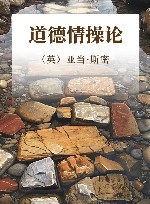 道德情操论封面