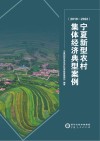 宁夏新型农村集体经济典型案例  2019-2022