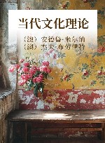 当代文化理论封面