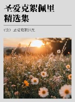 圣爱克絮佩里精选集 封面