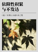 依附性积累与不发达