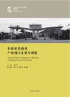 “一带一路”产业园区研究丛书  东南亚及南亚产业园区发展与规划封面
