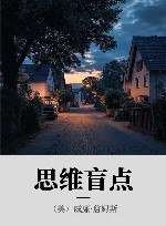 思维盲点
