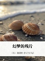 幻梦的残片 封面