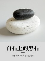 白石上的黑石 封面